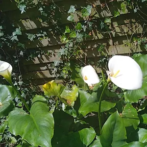 Joli Studio Avec Son Jardin Privatif , Rennes France